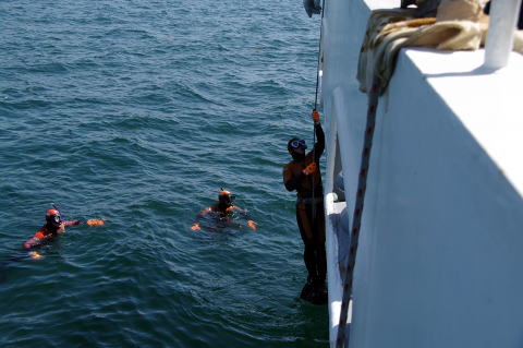 ロープ登りをする潜水士